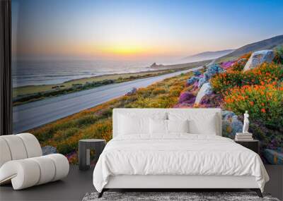 wild flowers and California coastline in Big Sur at sunset. Wall mural