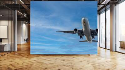 Airplane and sky, the plane is landing. Airplane take off on the blue sky, Aircraft flying on sky background. Passenger plane ready for landing. Low angle view of Airplane flying under blue sky Wall mural