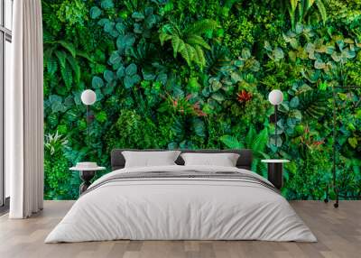 herb wall, plant wall, natural green wallpaper and background. nature wall. nature background of gre Wall mural