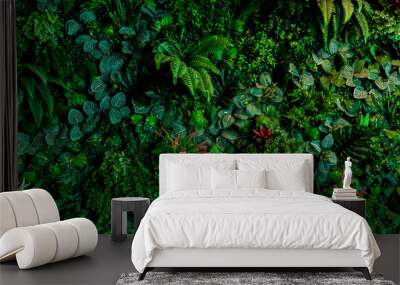 Herb wall, plant wall, natural green wallpaper and background. nature wall.  Nature background of green forest Wall mural