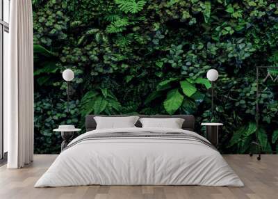 Herb wall, plant wall, natural green wallpaper and background. nature wall. Nature background of green forest Wall mural