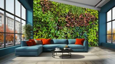 Herb wall, plant wall, natural green wallpaper and background. nature wall. Wall mural