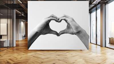 Female hands that make a heart shape. Heart shape with female hands. Close-up. Sign of love.  Black and white image Wall mural