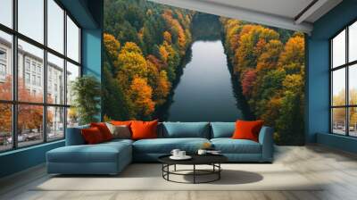 A river with trees on both sides and a reflection of the trees in the water Wall mural