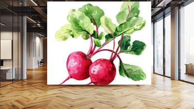 vegetable - 2 beetroots have a crunchy texture and a slightly sweet taste. They can be grated and added to salads or coleslaws Wall mural