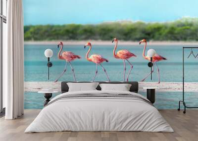 Four Flamingos walking across a sandbar in perfect unison Wall mural