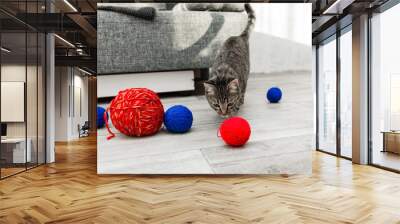 Gray striped adult cat plays with blue and red yarn balls in gray modern interior Wall mural