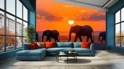 A group of elephants walking across a field at sunset Wall mural