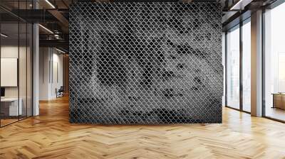 Old Steel grating texture background,Metal grid seamless pattern. Wall mural