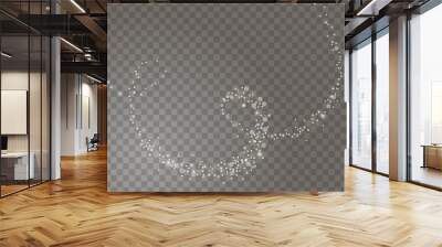 Falling snow spiral on a transparent background. Abstract snowflake background for your Christmas design. Vector illustration Wall mural