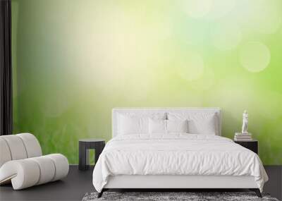 Chamomile flowers on grass field Wall mural