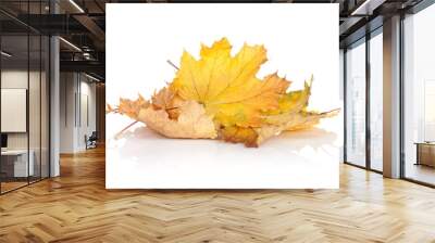 Colorful autumn maple leaves Wall mural