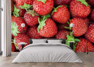 Fresh ripe strawberry Wall mural