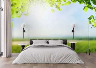 Green grass field, leaf foliage and blue sky Wall mural