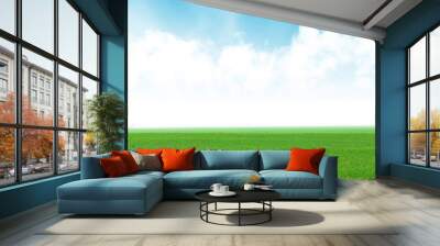 Green grass field and blue sky Wall mural