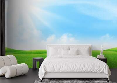 Green grass field and clear blue sky Wall mural