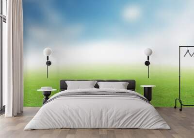 Lush green summer landscape with field and sky Wall mural