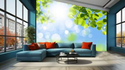 Tree branch with leaves in front of blue sunny sky Wall mural