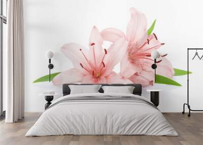 Two pink lily flowers Wall mural