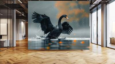 An elegant black swan drifts gracefully on water Wall mural