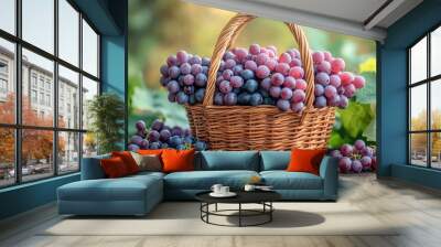 Basket filled with vibrant purple grapes in vineyard Wall mural