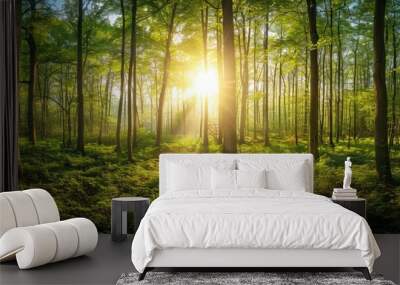 Beautiful forest panorama with bright sun shining through the trees Wall mural