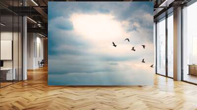 birds flying to the light hold on the cloud with light ray on blue sky background, peace and light at the end of the tunnel concept Wall mural