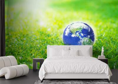 Globe in the garden, Earth on green grass eco concept, Elements of this image furnished by NASA Wall mural