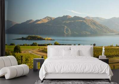 Morning on vineyard at Lake Wanaka, Otago, New Zealand Wall mural