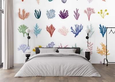 Colored seaweed big set. Marine plant elements. Flat vector illustration on white background. Wall mural