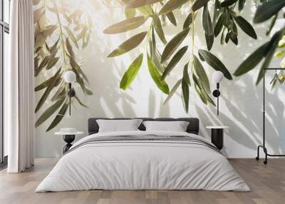 Mediterranean olive tree on white background. Wall mural