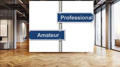 difference between being a professional or an amateur Wall mural