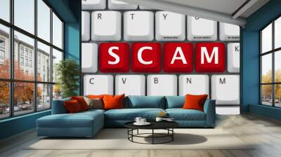 internet scams Wall mural