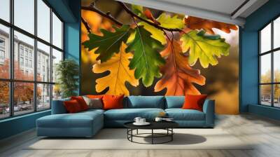 colorful fall oak leaves on the branch Wall mural