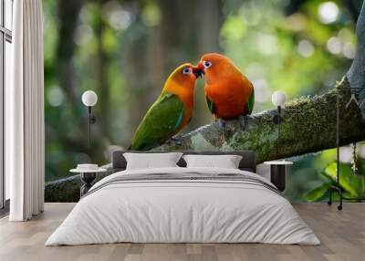 two love birds on branch of tree in forest Wall mural