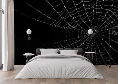 Light spider web isolated on black background for Halloween card Wall mural