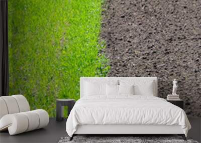 fields two colors Wall mural