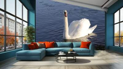 le cigne 2 Wall mural