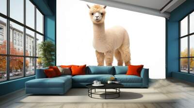 A cute alpaca posing against a clean white backdrop created with Generative AI technology Wall mural