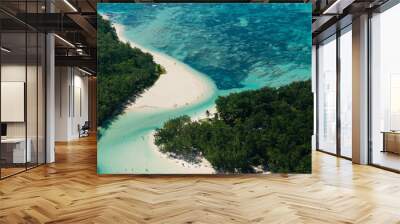 Aerial picture of l’île aux Cerfs in the turquoise lagoon of Mauritius tropical island  Wall mural