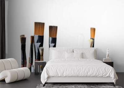 Various colorful used brushes for art on white background Wall mural