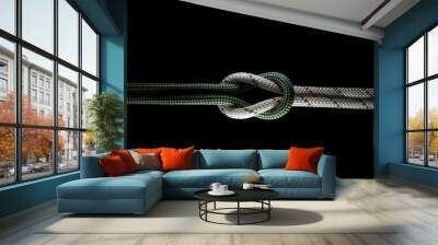 knots climbing sailing rope cross knot Wall mural