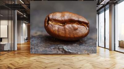 Macro coffee bean close up shot Wall mural