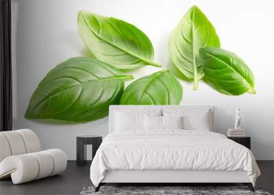 fresh green basil leaves isolated on white background Wall mural