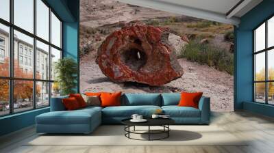 Petrified forest Wall mural