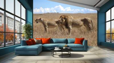 lions 2 Wall mural