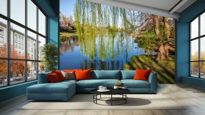 Weeping Willow tree with hanging green branches by still pond water and clear blue sky in a neighborhood in Ashburn, Virginia, USA. Wall mural