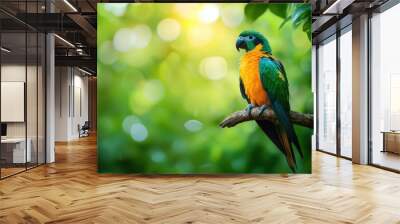 A vibrant, colorful tropical bird sitting on a tree branch in the jungle, with lush green foliage in the background and natural sunlight highlighting its feathers Wall mural