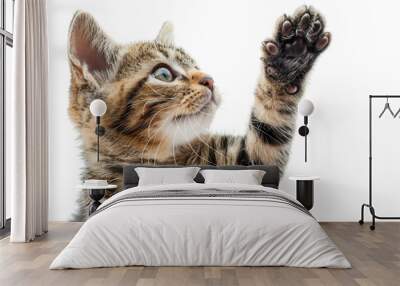 Closeup of a cat raising its paw for a high five, PNG, playful and cute, detailed fur, engaging and dynamic Wall mural