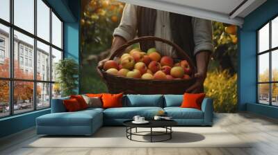 A farmer holding a basket of freshly harvested apple fruits.
 Wall mural